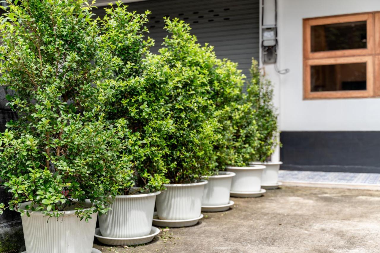 Socialer Coliving & Coworking Space Chiang Mai Eksteriør billede